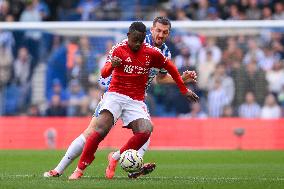 Brighton & Hove Albion FC v Nottingham Forest FC - Premier League