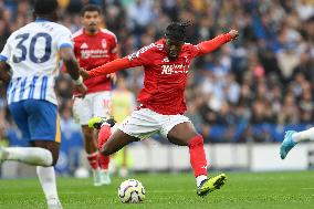 Brighton & Hove Albion FC v Nottingham Forest FC - Premier League