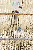 Hollow Hanging Noodles Production in Suqian