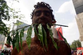 Brazil Climate Protests