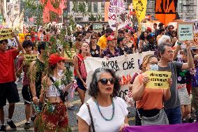 Brazil Climate Protests