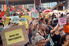 Brazil Climate Protests