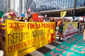 Brazil Climate Protests