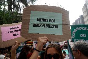 Brazil Climate Protests