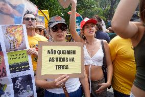 Brazil Climate Protests