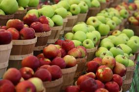 Farmers Market In Markham