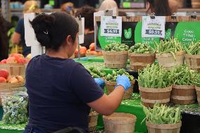 Farmers Market In Markham