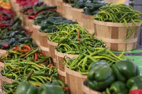 Farmers Market In Markham