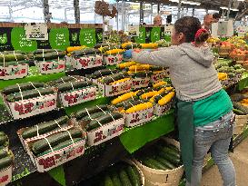 Farmers Market In Markham