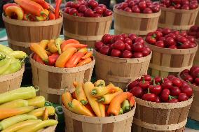 Farmers Market In Markham