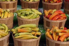 Farmers Market In Markham