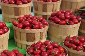 Farmers Market In Markham