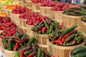 Farmers Market In Markham