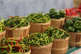 Farmers Market In Markham