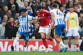 Brighton & Hove Albion FC v Nottingham Forest FC - Premier League