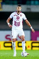 Hellas Verona v Torino FC - Serie A Enilive