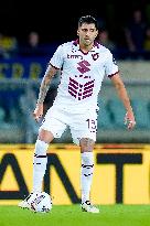 Hellas Verona v Torino FC - Serie A Enilive