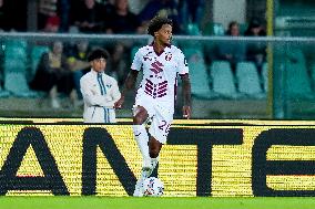 Hellas Verona v Torino FC - Serie A Enilive