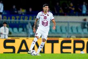 Hellas Verona v Torino FC - Serie A Enilive