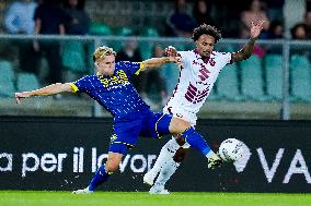 Hellas Verona v Torino FC - Serie A Enilive