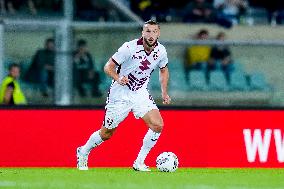 Hellas Verona v Torino FC - Serie A Enilive