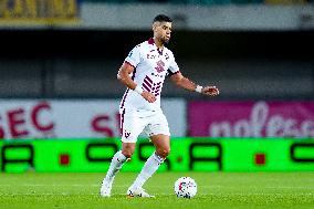 Hellas Verona v Torino FC - Serie A Enilive