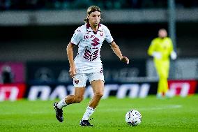 Hellas Verona v Torino FC - Serie A Enilive