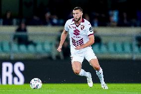 Hellas Verona v Torino FC - Serie A Enilive