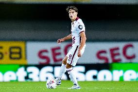 Hellas Verona v Torino FC - Serie A Enilive