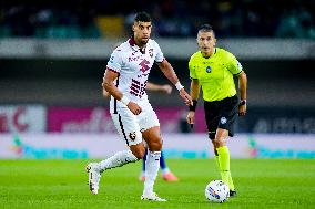 Hellas Verona v Torino FC - Serie A Enilive