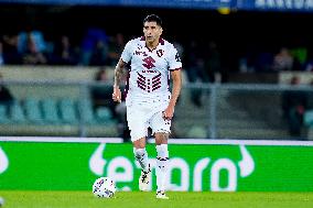 Hellas Verona v Torino FC - Serie A Enilive