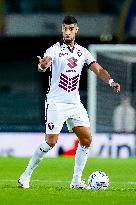 Hellas Verona v Torino FC - Serie A Enilive