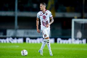 Hellas Verona v Torino FC - Serie A Enilive