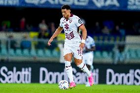 Hellas Verona v Torino FC - Serie A Enilive