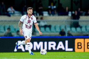 Hellas Verona v Torino FC - Serie A Enilive