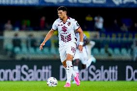 Hellas Verona v Torino FC - Serie A Enilive