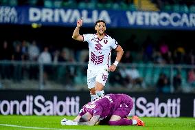 Hellas Verona v Torino FC - Serie A Enilive