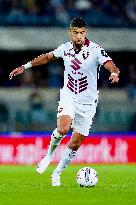 Hellas Verona v Torino FC - Serie A Enilive