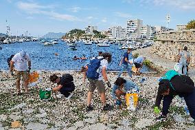 World Clean Up Day - Toulon