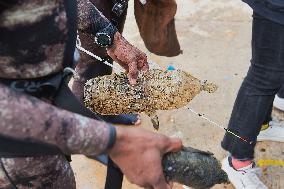 World Clean Up Day - Toulon