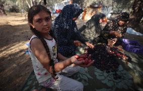 Daily Life In Gaza Amid Hamas-Israel Conflict