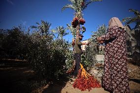 Daily Life In Gaza Amid Hamas-Israel Conflict