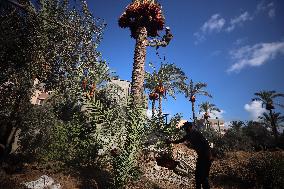 Daily Life In Gaza Amid Hamas-Israel Conflict