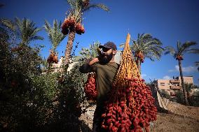 Daily Life In Gaza Amid Hamas-Israel Conflict