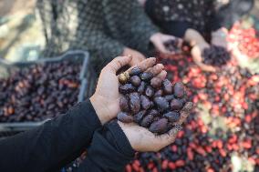 Daily Life In Gaza Amid Hamas-Israel Conflict