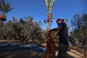 Daily Life In Gaza Amid Hamas-Israel Conflict