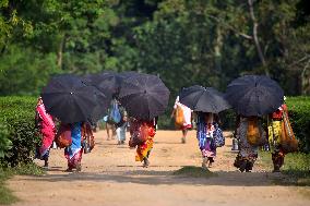 Daily Life In India