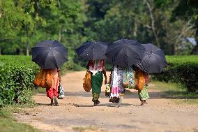 Daily Life In India