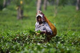 Daily Life In India