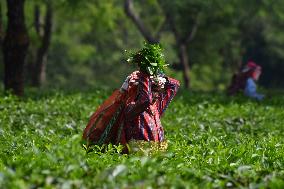 Daily Life In India